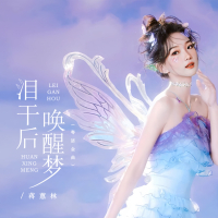泪干后唤醒梦 (粤语金曲) (Single)