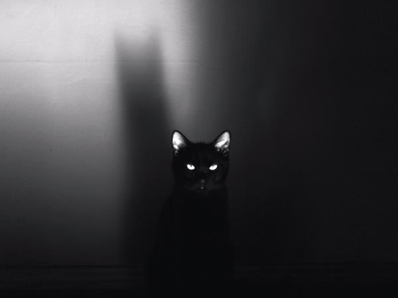 As Soon As I Discover (Single)