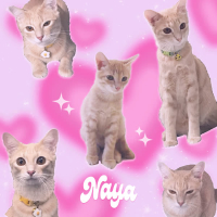 Naya (EP)