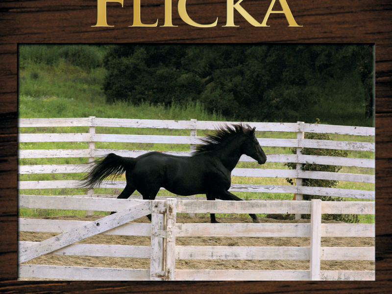 Flicka (Original Motion Picture Score)