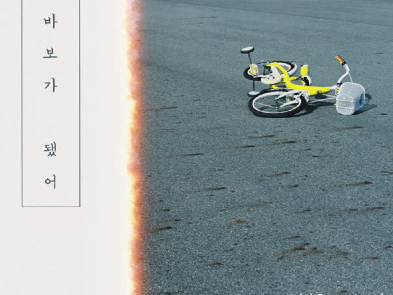 바보가 됐어 (Single)