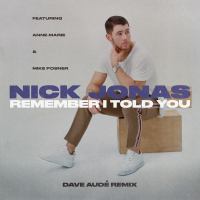 Remember I Told You (Dave Audé Remix) (Single)