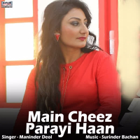 Main Cheez Parayi Haan - Single