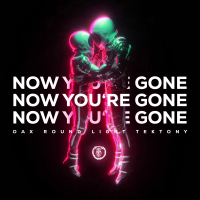 Now You're Gone (Techno Version) (Single)