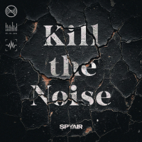 Kill the Noise (Single)