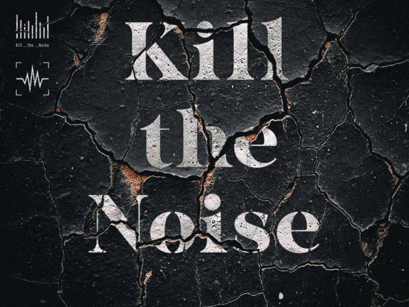 Kill the Noise (Single)