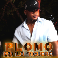 Plomo Pa Lo Tiguere (Single)