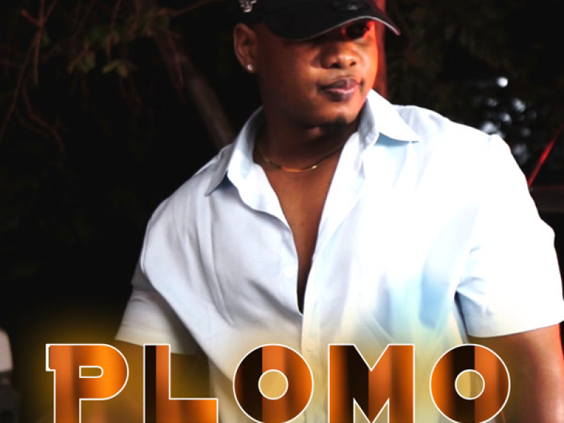 Plomo Pa Lo Tiguere (Single)