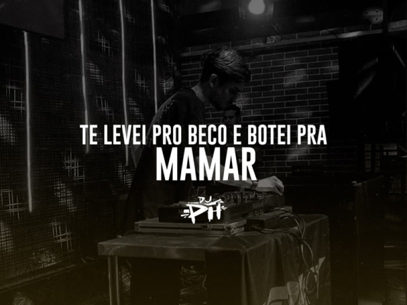 Te Levei Pro Beco E Botei Pra Mamar (Single)