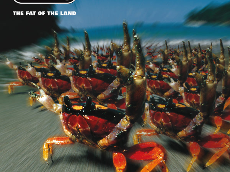 The Fat of the Land - Expanded Edition