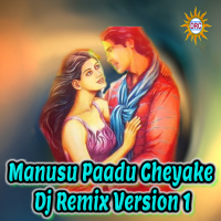 Manusu Paadu Cheyake (Dj Remix Version 1) (Single)