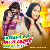 Paswan Hai Lover Ta Rahtai Kawan Bat Ke Dar (Single)