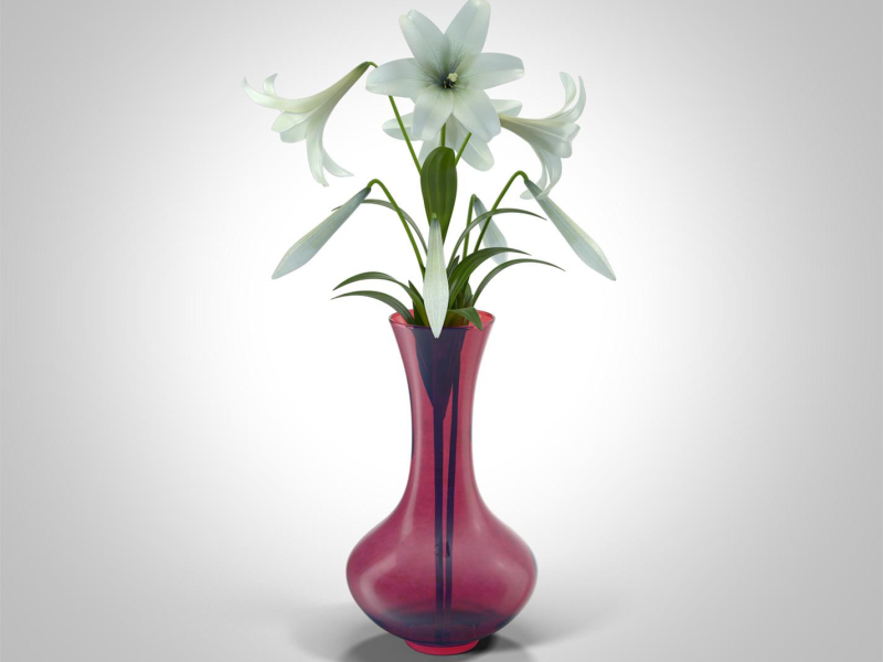 Commitment (feat. Nelson Miller & Verzache) (Rasha x Verzache - Commitment (feat. Nelson Miller)) (Single)