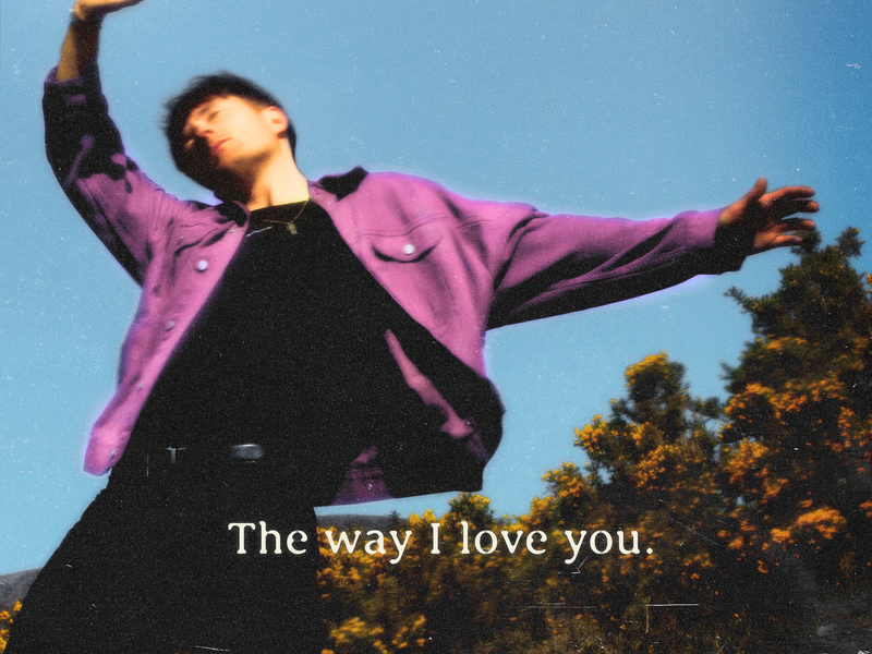 The Way I Love You (Single)