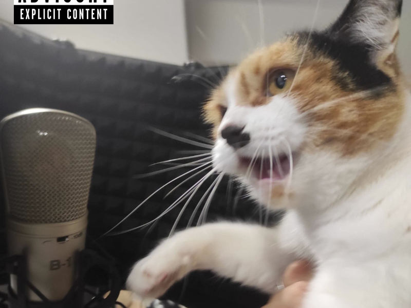 Mi cancíon. MIAAAU (sencillo) (Single)