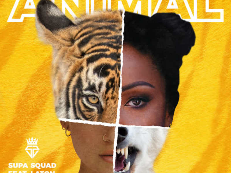 Animal (Single)