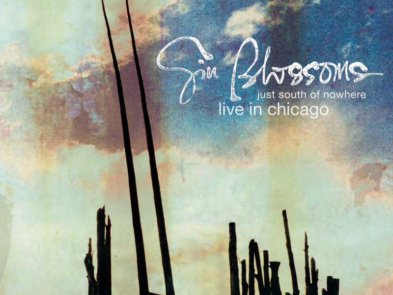 Just South Of Nowhere - Live In Chicago