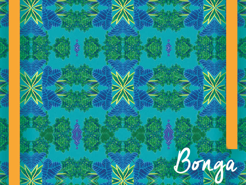 Banza Rémy (Bonga meets Batida)