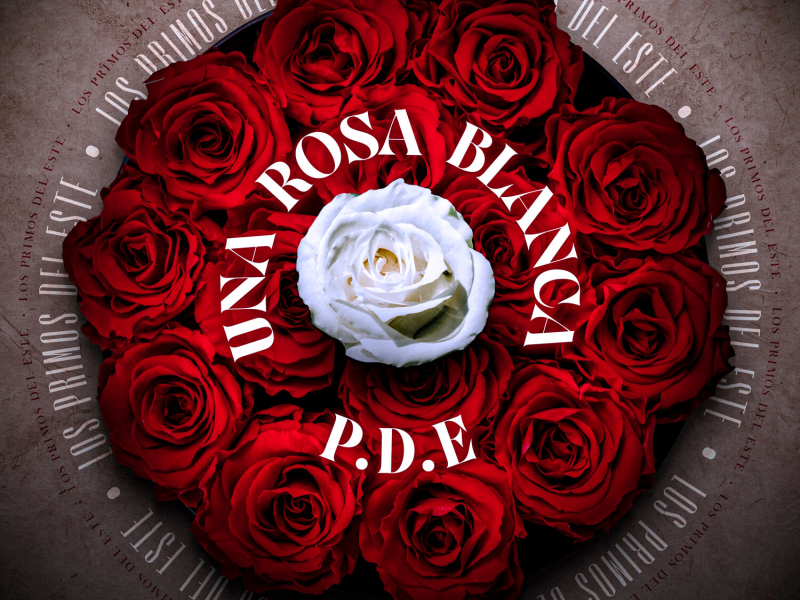 Una Rosa Blanca (Single)