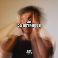 ZN Do Estresse (Single)