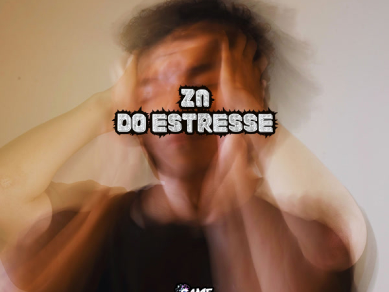 ZN Do Estresse (Single)