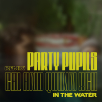 In the Water (Party Pupils Remix) (Single)