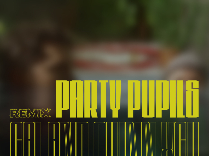 In the Water (Party Pupils Remix) (Single)