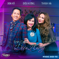 Thúy Nga Music Box 21: Diệu Hương, Đon Hồ, Thanh Hà