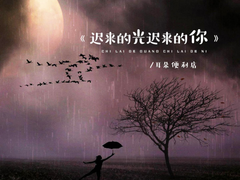 迟来的光迟来的你 (DJ默涵版) (Single)