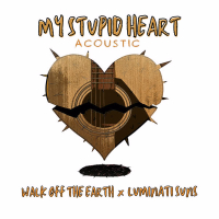 My Stupid Heart (Acoustic Version) (Single)