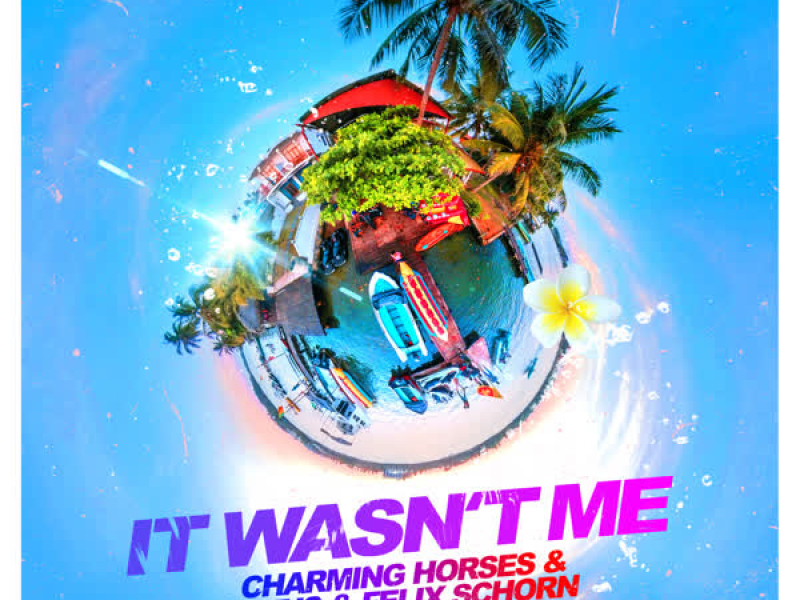 It Wasn't Me (Single)