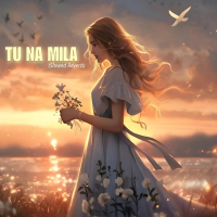 Tu Na Mila (Slowed Reverb) (Single)