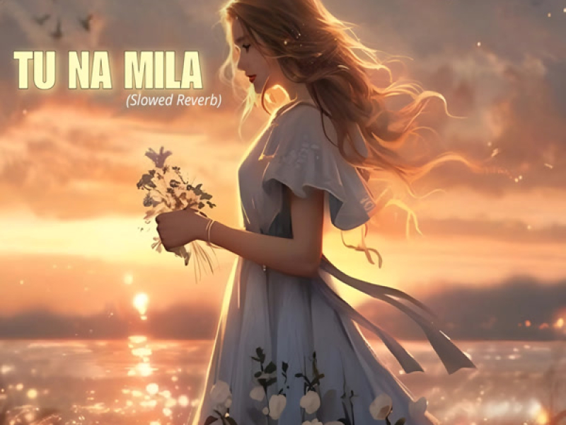 Tu Na Mila (Slowed Reverb) (Single)