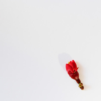 Down Down Down Down (Single)