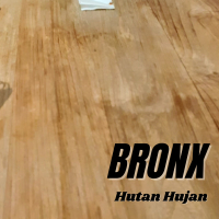 Hutan Hujan (Single)