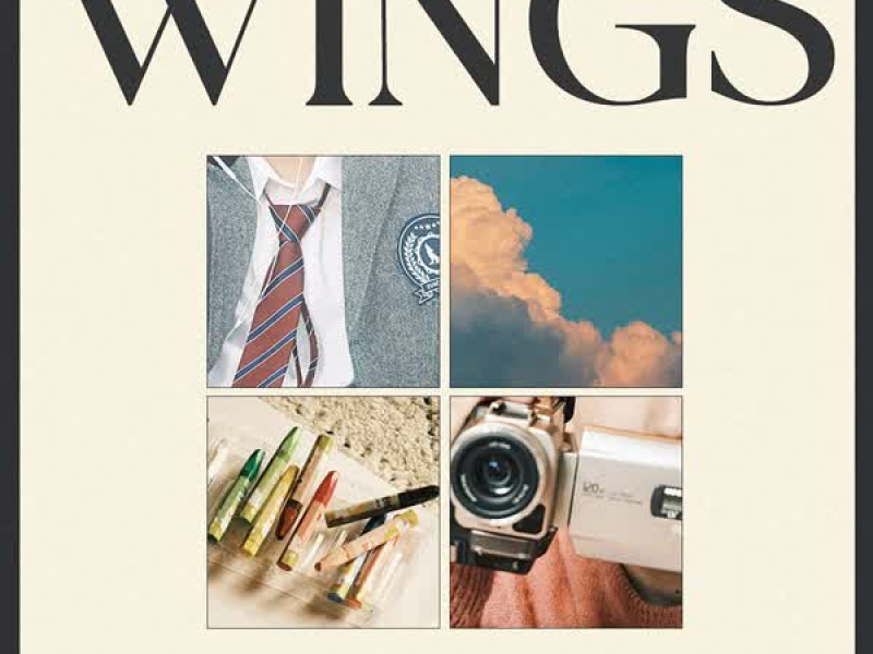 Chapter 2. Wings (Single)