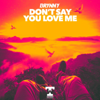 Don't Say You Love Me (Single)