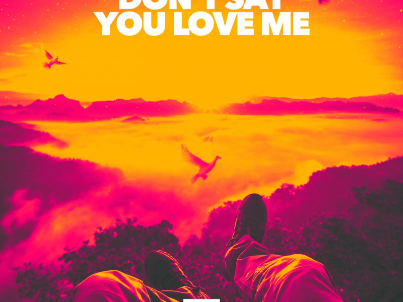 Don't Say You Love Me (Single)