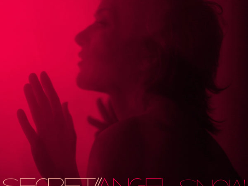 Secret (Alex Klingle Remix) (Single)
