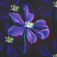 It's Not Worth It (Single)