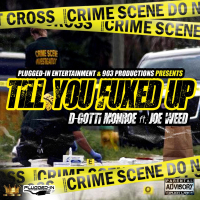 Till You Fucked Up (feat. Joe Weed) (Single)