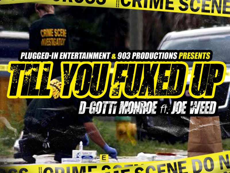 Till You Fucked Up (feat. Joe Weed) (Single)