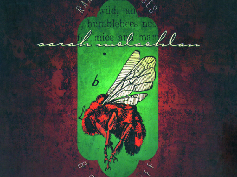 Rarities, B-Sides & Other Stuff