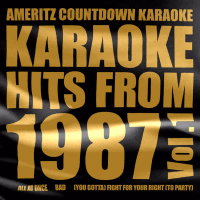 Karaoke Hits from 1987