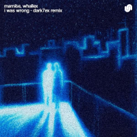 I Was Wrong (Dark7ex Remix) (Single)