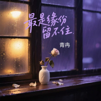 最是缘份留不住 (Single)