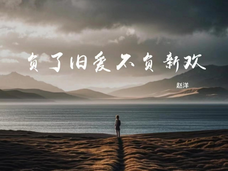 负了旧爱不负新欢 (Single)