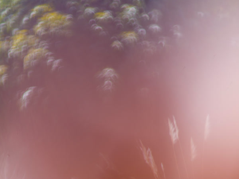 パノラマ (Single)