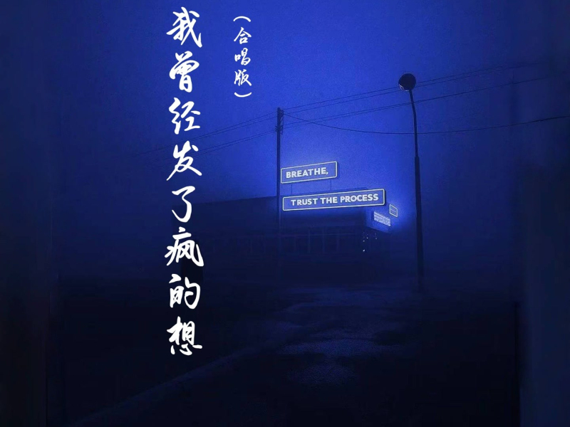 我曾经发了疯的想 (合唱版) (Single)