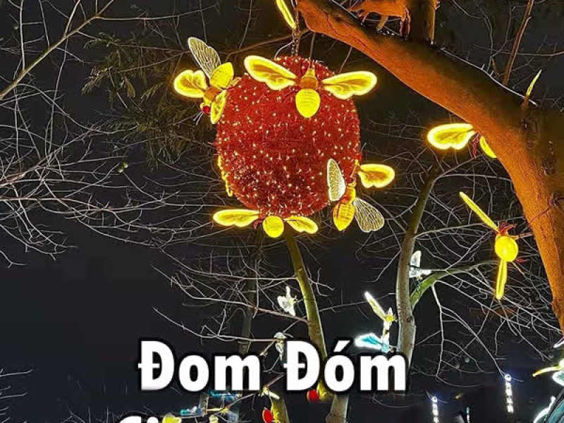Đom Đóm (Single)